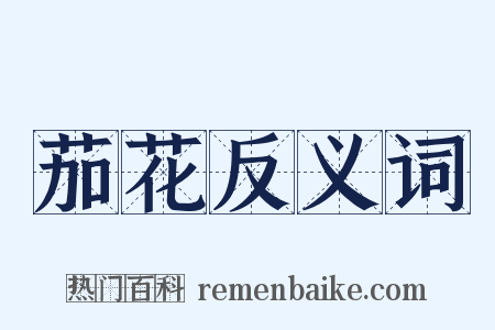 茄花反义词是什么意思的图片